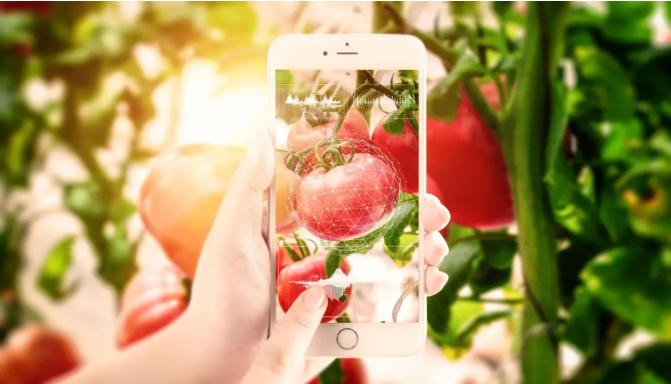 深度拆解！农村电商的困境、原因与出路分析