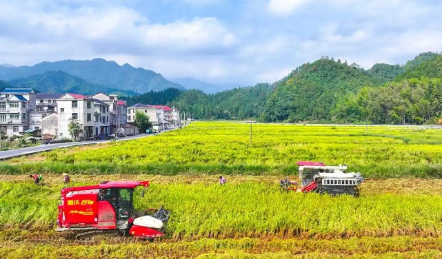 农村电商发展助力乡村振兴
